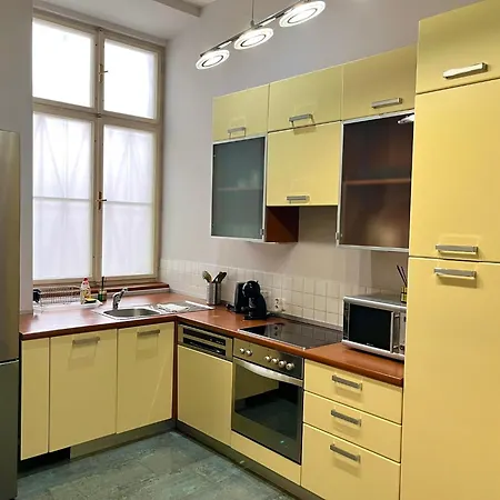 Spacious 4br By Charles Bridge